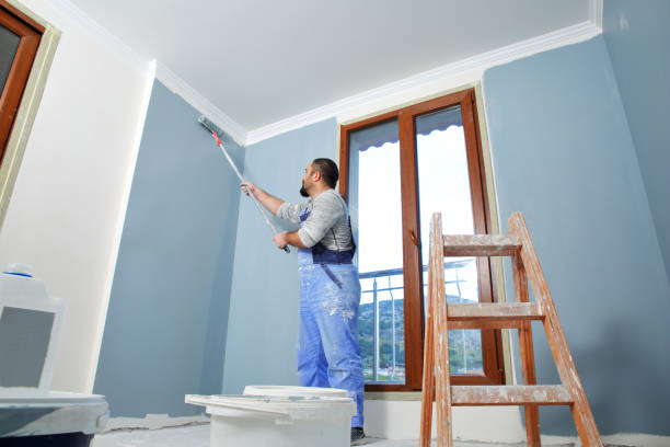 Best Drywall Sanding and Smoothing  in Danville, VA