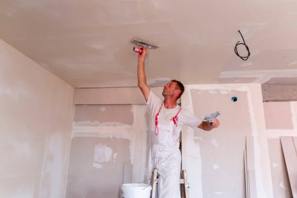 Best Ceiling Drywall Installation  in Danville, VA